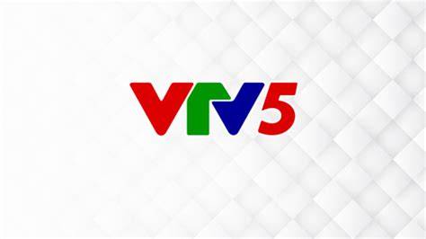 hướng dẫn sử dụng bóng đá vtv5