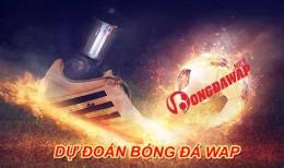 hướng dẫn sử dụng bong da wap 1