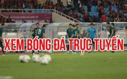 hướng dẫn sử dụng bunchatv bóng đá