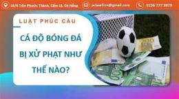 hướng dẫn sử dụng cá độ bóng đá bị phạt như thế nào
