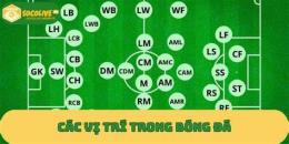 hướng dẫn sử dụng các vị trí trong bóng đá sân 7