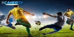 hướng dẫn sử dụng caheo tv trực tiếp bóng đá