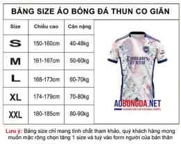 hướng dẫn sử dụng câu lạc bộ bóng đá birmingham city
