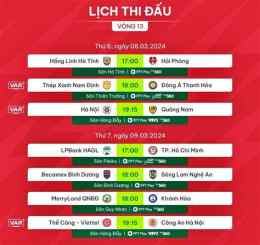 hướng dẫn sử dụng đá bóng vn trực tiếp hôm nay