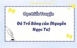 hướng dẫn sử dụng đá trổ bông đọc hiểu