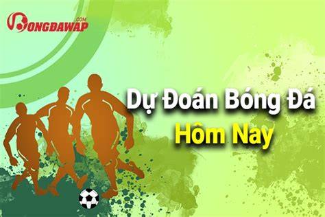 hướng dẫn sử dụng du doan bong da anh