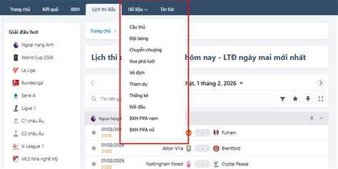 hướng dẫn sử dụng du lieu bong da