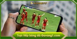 hướng dẫn sử dụng gà vàng tv bóng đá