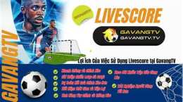 hướng dẫn sử dụng gavangtv truc tiep bong da