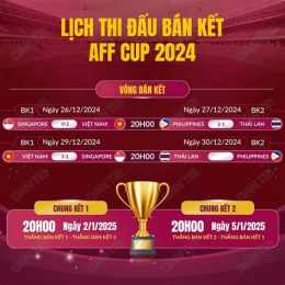 hướng dẫn sử dụng giải bóng đá aff cup