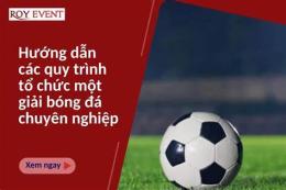 hướng dẫn sử dụng giải bóng đá chuyên nghiệp anh u21