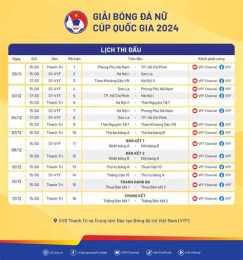 hướng dẫn sử dụng giải bóng đá cúp quốc gia