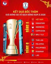 hướng dẫn sử dụng giải bóng đá hyundai cup 2026
