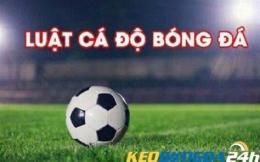 hướng dẫn sử dụng keo bong da da hom nay