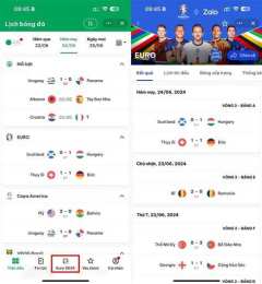 hướng dẫn sử dụng kết quả bóng đá euro