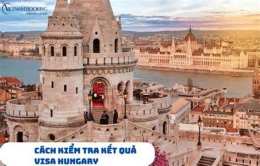 hướng dẫn sử dụng kết quả bóng đá hungary