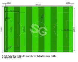 hướng dẫn sử dụng kích thước sân bóng đá 5 người
