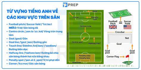 hướng dẫn sử dụng kiến tạo trong bóng đá tiếng anh là gì