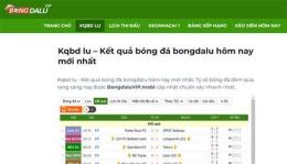 hướng dẫn sử dụng kq bóng đá trực tuyến hôm nay