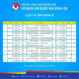 hướng dẫn sử dụng lịch bóng đá vô địch quốc gia việt nam