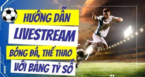 hướng dẫn sử dụng livestream bóng đá
