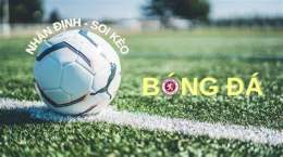 hướng dẫn sử dụng nhận định bóng đá 24h