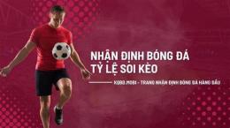hướng dẫn sử dụng nhận định chuyên gia bóng đá hôm nay
