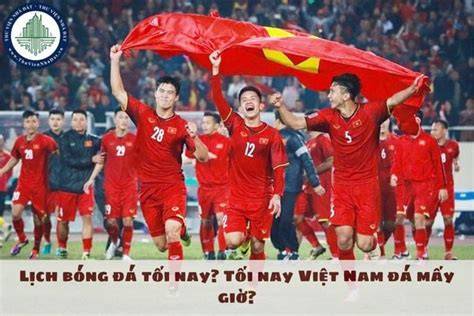 hướng dẫn sử dụng tối nay đá bóng mấy giờ