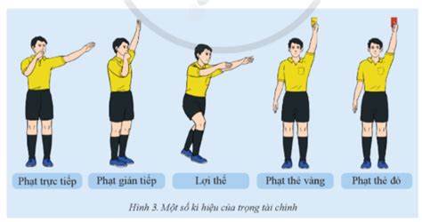 hướng dẫn sử dụng trọng tài bóng đá