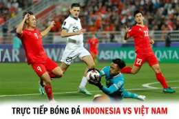hướng dẫn sử dụng trực tiếp bóng đá indonesia