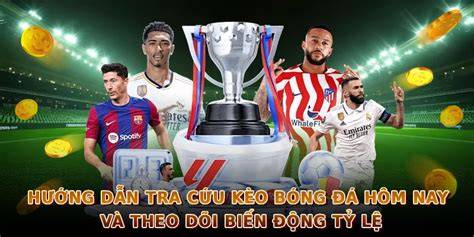 hướng dẫn sử dụng tructiep bong da hom nay