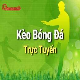hướng dẫn sử dụng ty le bong da so