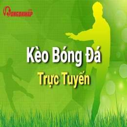 hướng dẫn sử dụng ty le bong da y