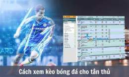 hướng dẫn sử dụng tỷ lệ kèo bóng đá cúp c1