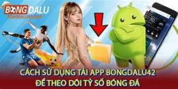 hướng dẫn sử dụng ty so bong da lu
