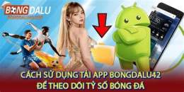 hướng dẫn sử dụng ty so bong da wc