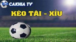 hướng dẫn sử dụng xem bóng đá cakhia