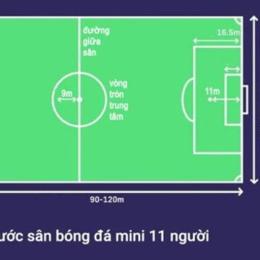 kích thước sân bóng đá mini 7 người