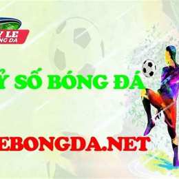 live ty so bong da