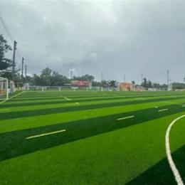 sân bóng đá phủi sài gòn