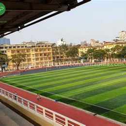 sân bóng đá tiểu ngư