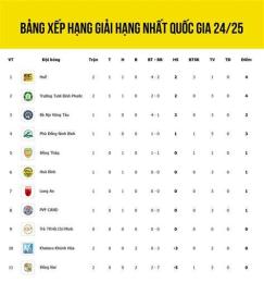 tính năng nổi bật bảng xếp hạng bóng đá indonesia