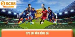 tính năng nổi bật bóng đá kèo nhà cái 88