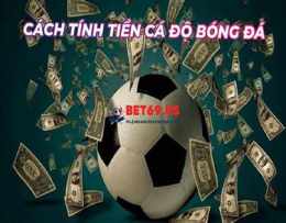 tính năng nổi bật cách cá độ bóng đá hiệu quả