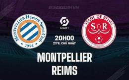 tính năng nổi bật câu lạc bộ bóng đá montpellier