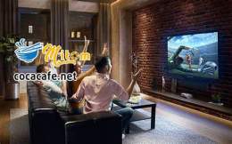 tính năng nổi bật mì tôm tv trực tiếp bóng đá hôm nay