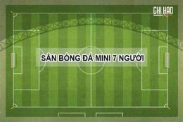 tính năng nổi bật sân bóng đá mini