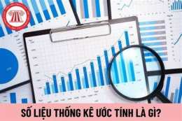 tính năng nổi bật số liệu thống kê bóng đá