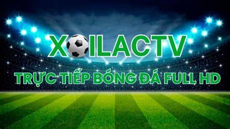 tính năng nổi bật thống kê trực tiếp bóng đá