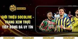 tính năng nổi bật trang bong da uy tin